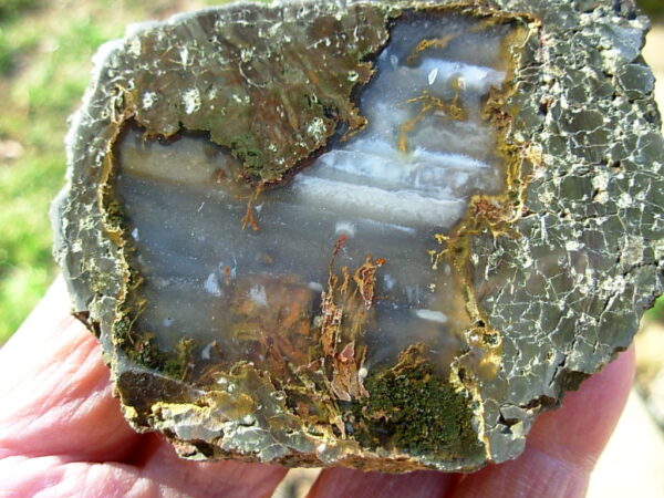 Valley View Mine Thunderegg Polished Half #8