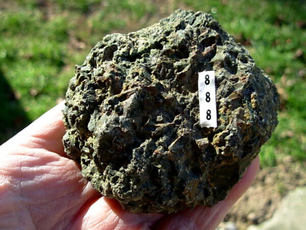 Valley View Mine Thunderegg Polished Half #8 - Image 2