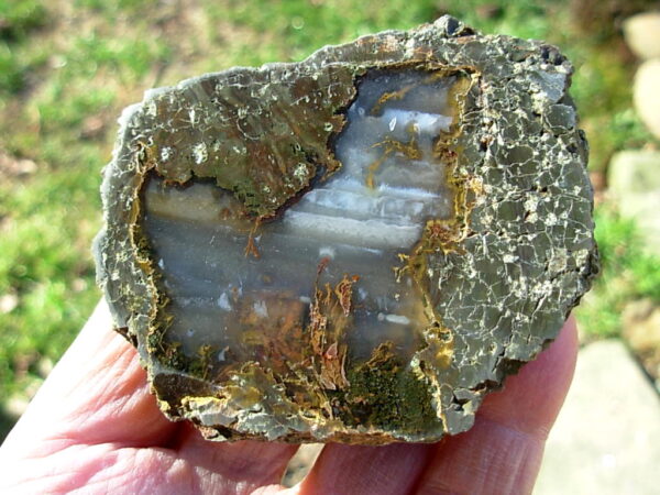 Valley View Mine Thunderegg Polished Half #8 - Image 3