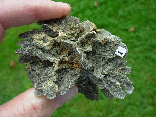 Selenite Desert Rose 1     Very Rare "Butterfly Selenite Rose" - Image 7