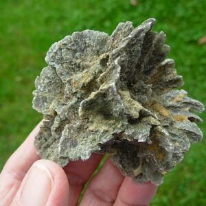 Selenite Desert Rose 1     Very Rare "Butterfly Selenite Rose"