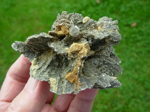 Selenite Desert Rose 1     Very Rare "Butterfly Selenite Rose" - Image 3