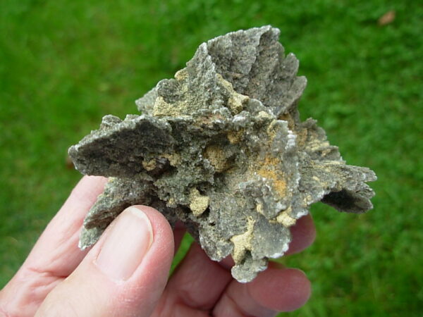 Selenite Desert Rose 1     Very Rare "Butterfly Selenite Rose" - Image 4