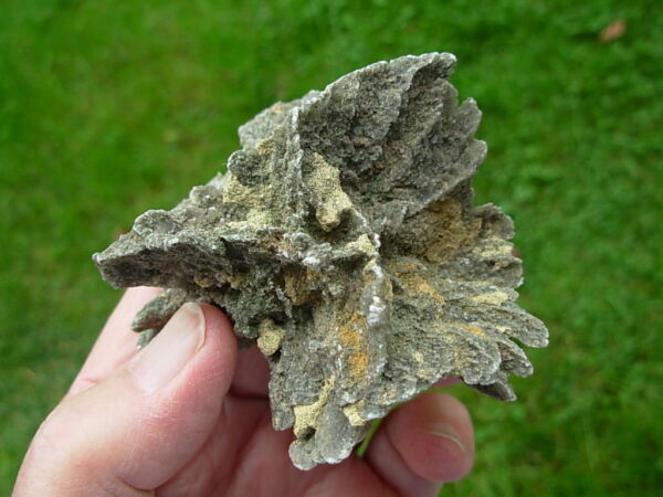 Selenite Desert Rose 1     Very Rare "Butterfly Selenite Rose" - Image 5