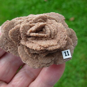 Barite Oklahoma Rose Rock 11