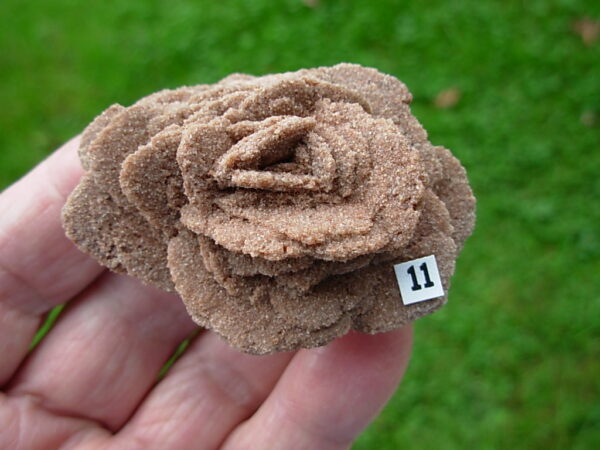 Barite Oklahoma Rose Rock 11