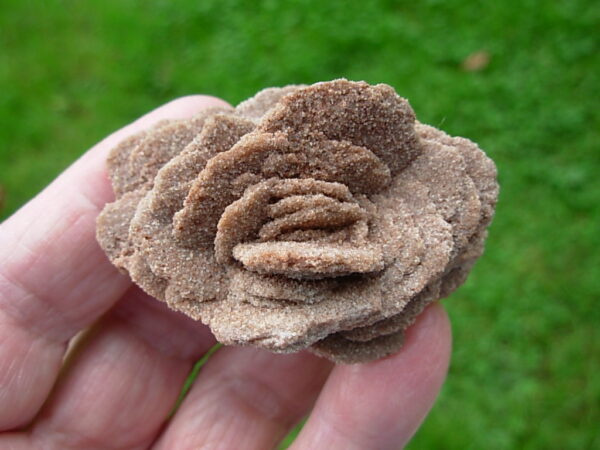Barite Oklahoma Rose Rock 11 - Image 2