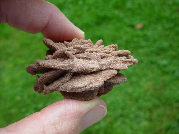 Barite Oklahoma Rose Rock 11 - Image 3