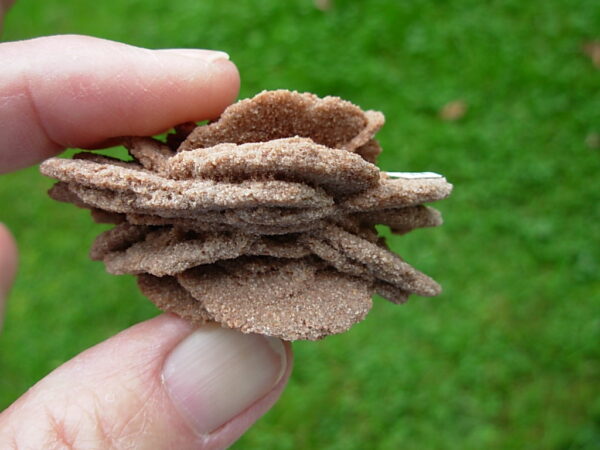 Barite Oklahoma Rose Rock 11 - Image 4