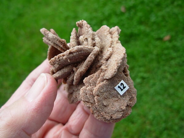Barite Oklahoma Rose Rock 12 - Image 2