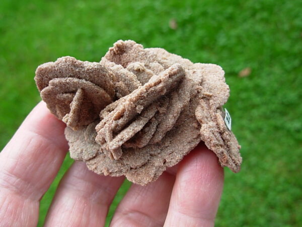 Barite Oklahoma Rose Rock 12 - Image 3