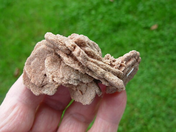 Barite Oklahoma Rose Rock 12 - Image 4