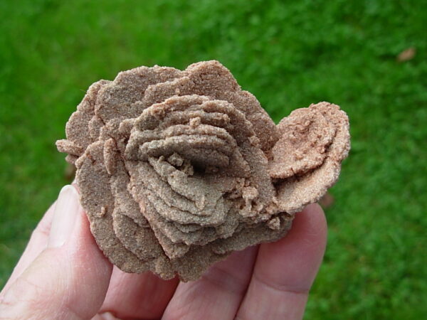 Barite Oklahoma Rose Rock 12