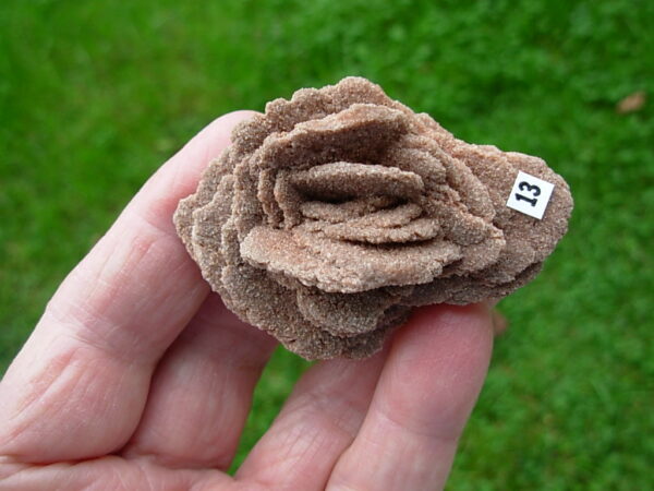 Barite Oklahoma Rose Rock 13