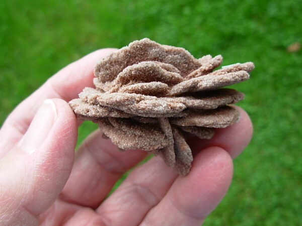 Barite Oklahoma Rose Rock 13 - Image 3