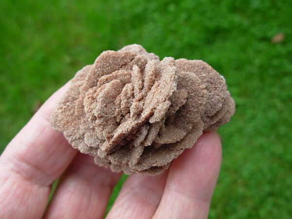 Barite Oklahoma Rose Rock 13 - Image 2
