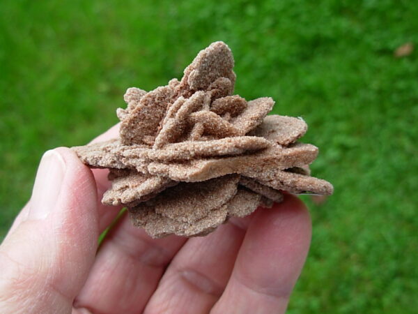 Barite Oklahoma Rose Rock 13 - Image 4