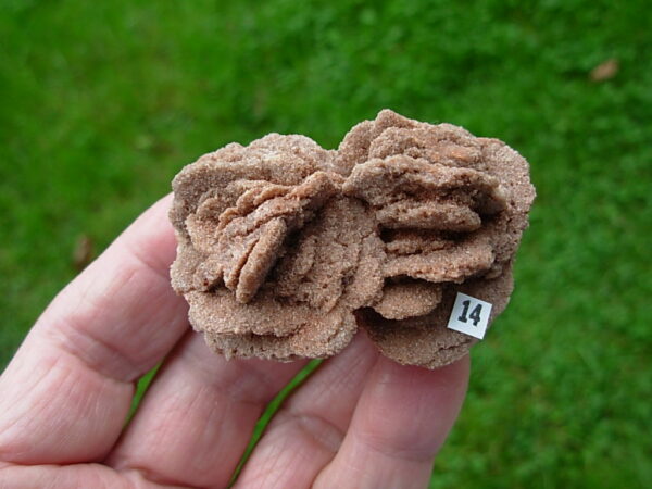 Barite Oklahoma Rose Rock 14 - Image 2