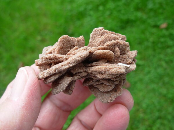 Barite Oklahoma Rose Rock 14 - Image 3