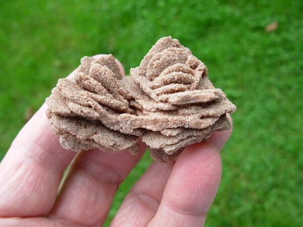 Barite Oklahoma Rose Rock 14 - Image 4