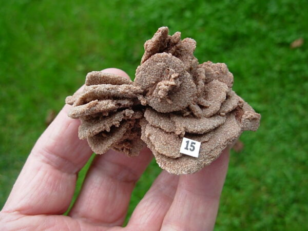 Barite Oklahoma Rose Rock 15 - Image 2