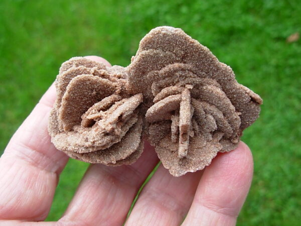 Barite Oklahoma Rose Rock 15