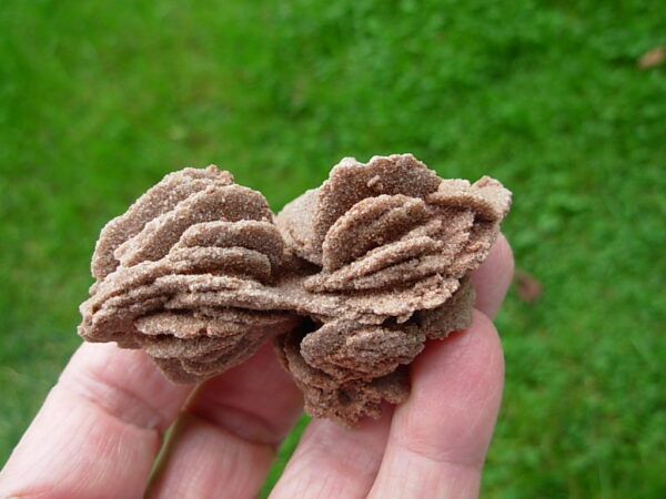 Barite Oklahoma Rose Rock 15 - Image 3