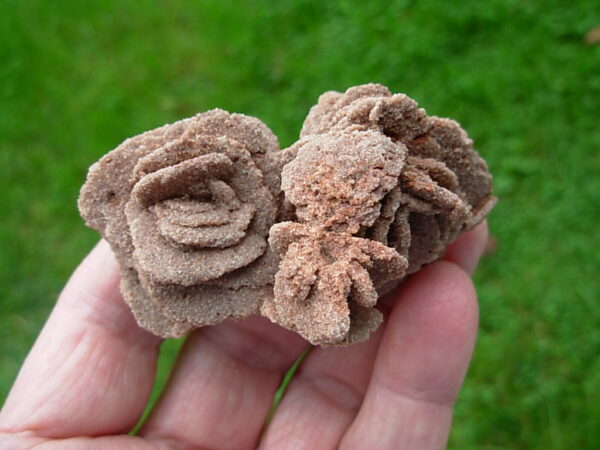 Barite Oklahoma Rose Rock 15 - Image 4