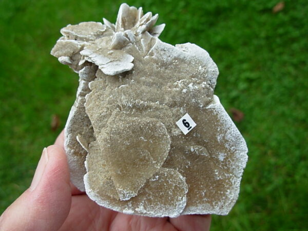 Selenite Desert Rose 6 - Image 6