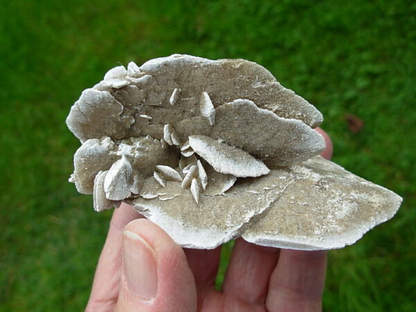 Selenite Desert Rose 6 - Image 2