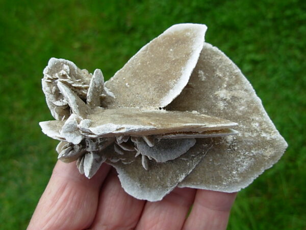 Selenite Desert Rose 6 - Image 3