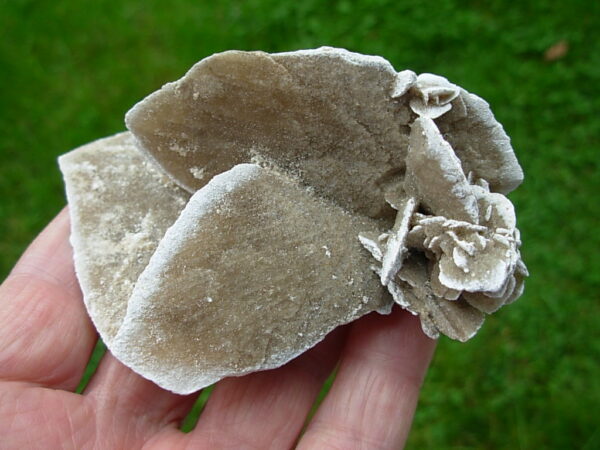 Selenite Desert Rose 6 - Image 4