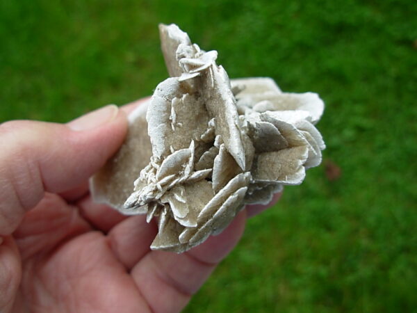 Selenite Desert Rose 6 - Image 5