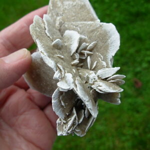 Selenite Desert Rose 6