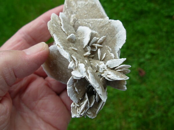 Selenite Desert Rose 6