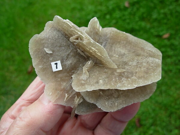 Selenite Desert Rose 7 - Image 2