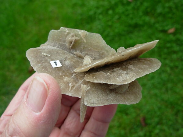 Selenite Desert Rose 7 - Image 3