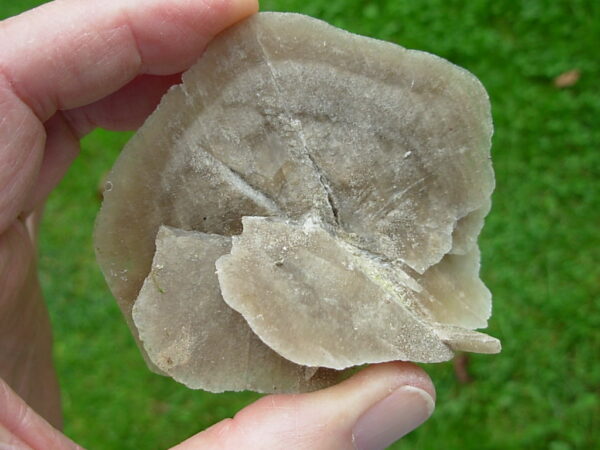Selenite Desert Rose 7 - Image 5