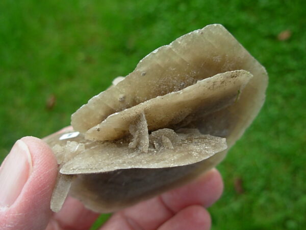 Selenite Desert Rose 7 - Image 4