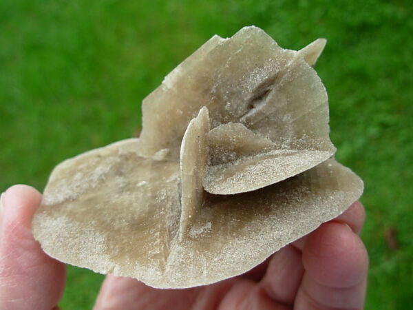 Selenite Desert Rose 7
