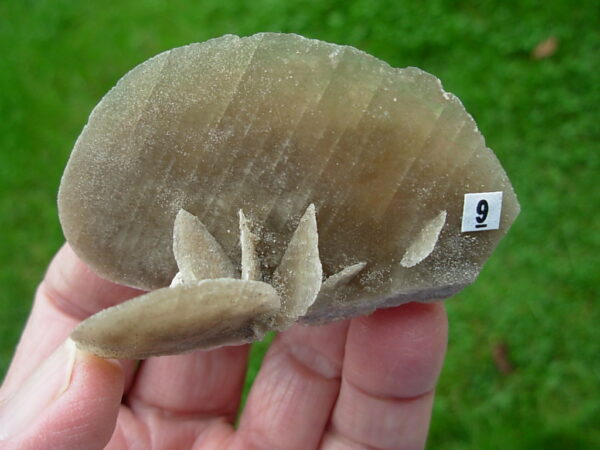 Selenite Desert Rose 9 - Image 2