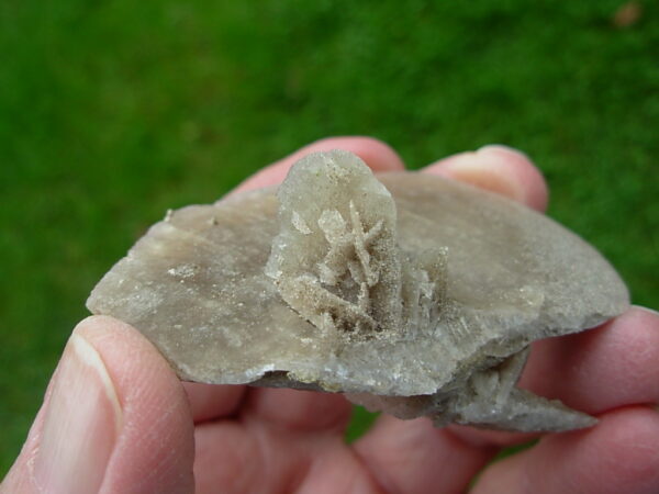 Selenite Desert Rose 9 - Image 3
