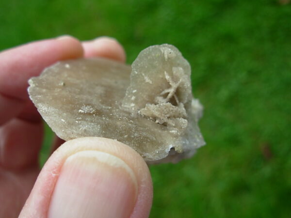 Selenite Desert Rose 9 - Image 4