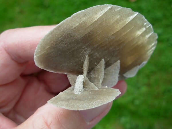 Selenite Desert Rose 9