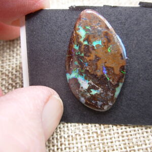 Boulder Opal 30 x 18 mm Cabochon from Winton, Queensland, Australia