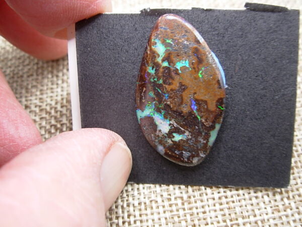Boulder Opal_87