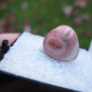 Thomsonite "Baroque" from Triangle T Thomsonite 19