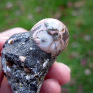 Thomsonite with Polished Face in Basalt Matrix 21