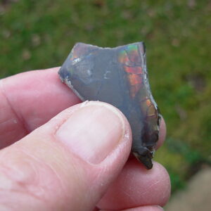 Boulder Opal Rough 46 from Queensland, Australia