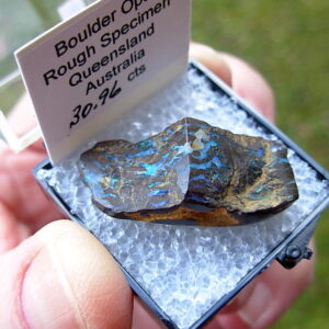 TN45 Boulder Opal Rough in Thumbnail Display Case